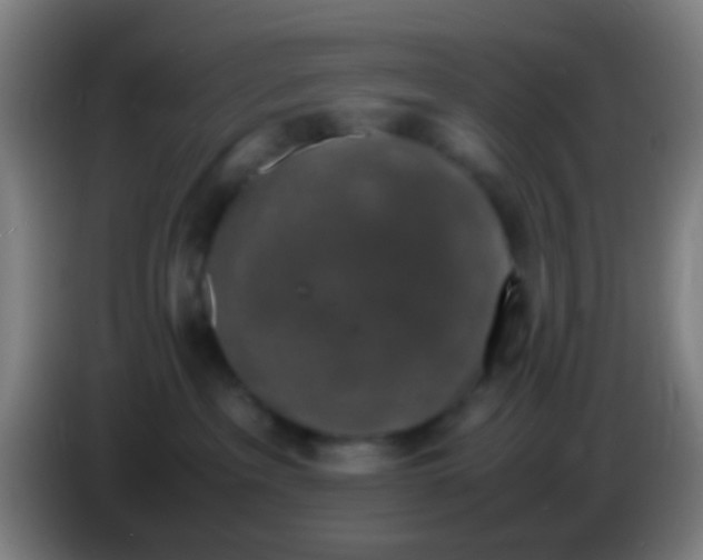 X0000085310237200703302029