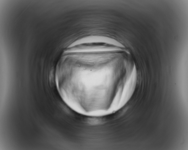 X0000085310238200703302029