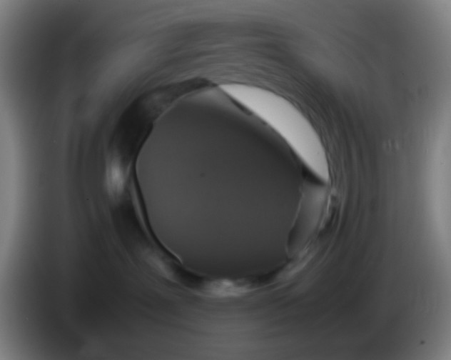 X0000085310239200703302029