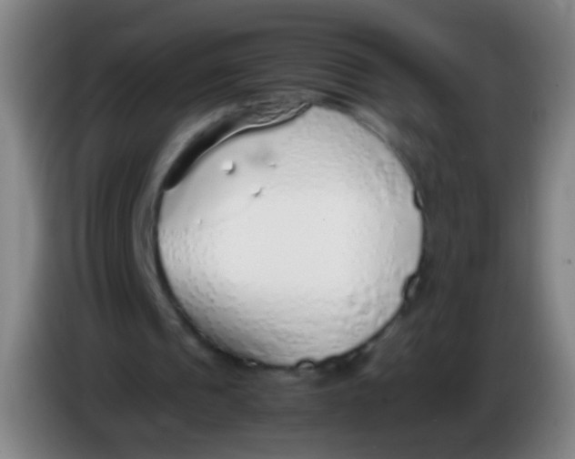 X0000085310241200703302028