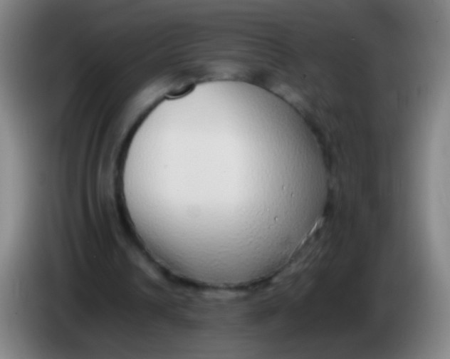 X0000085310242200703302029