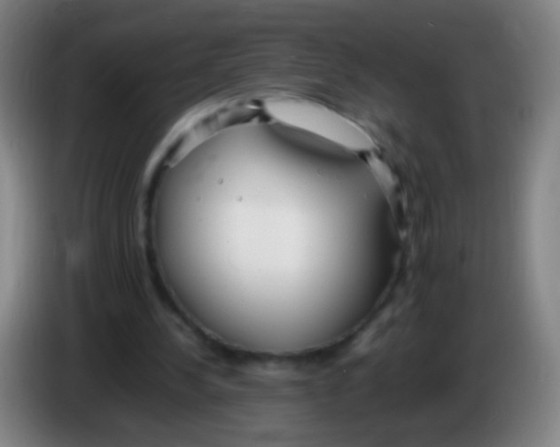 X0000085310244200703302029