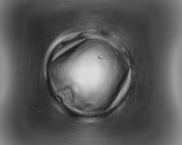 X0000085310246200703302029