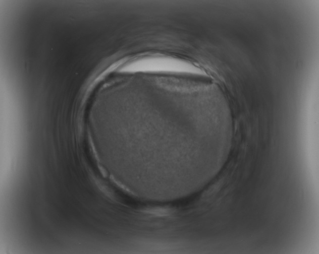 X0000085310247200703302029