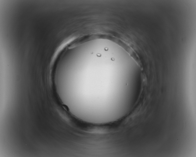 X0000085310248200703302029