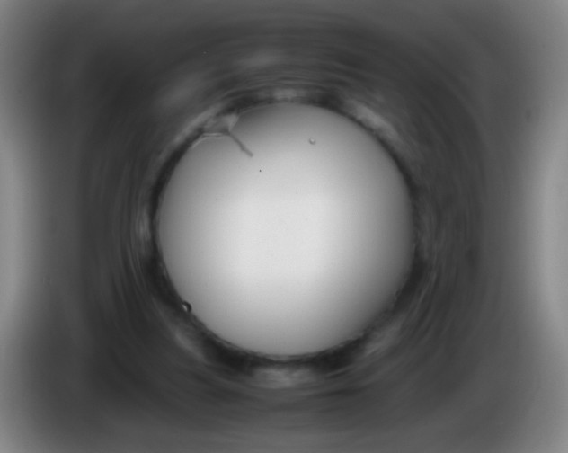 X0000085310251200703302029