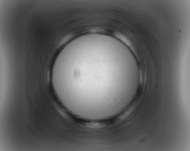 X0000085310253200703302029