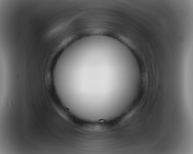 X0000085310254200703302029