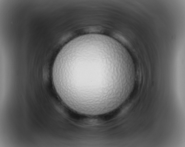 X0000085310255200703302029