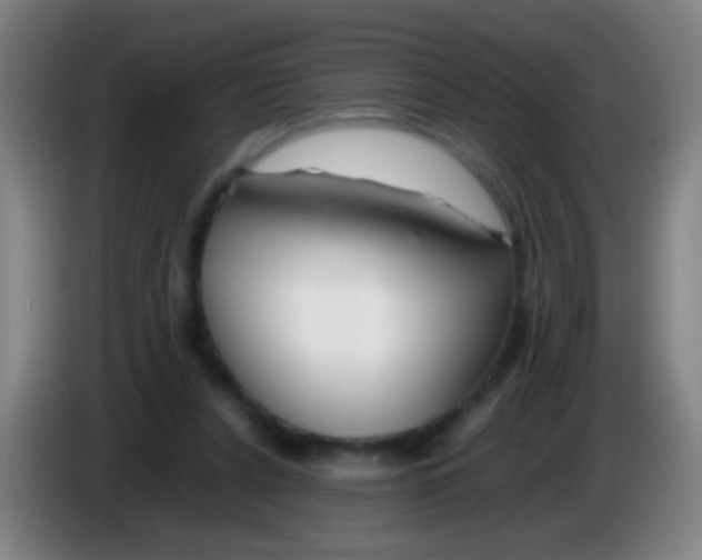 X0000085310256200703302029