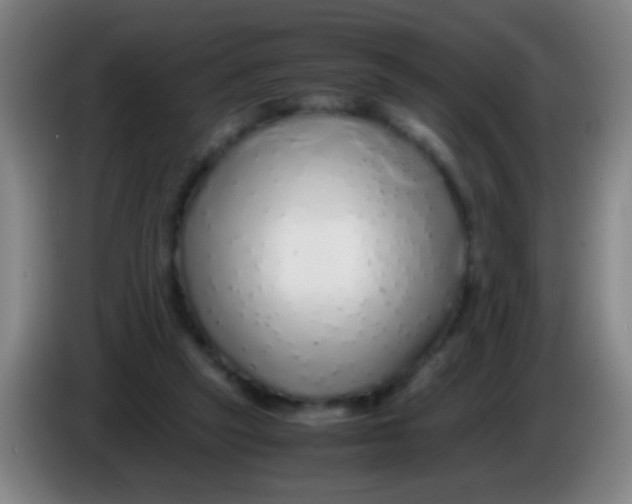 X0000085310257200703302029