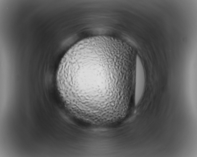 X0000085310258200703302029