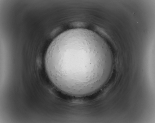 X0000085310259200703302029