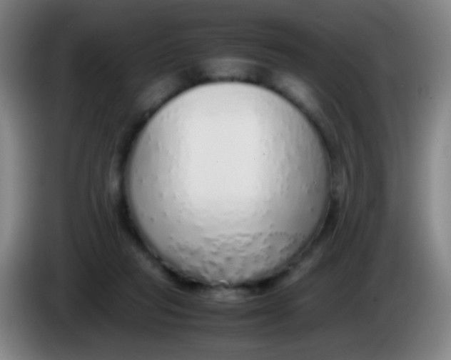 X0000085310261200703302029