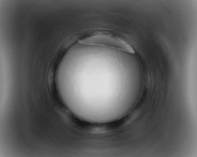 X0000085310263200703302029