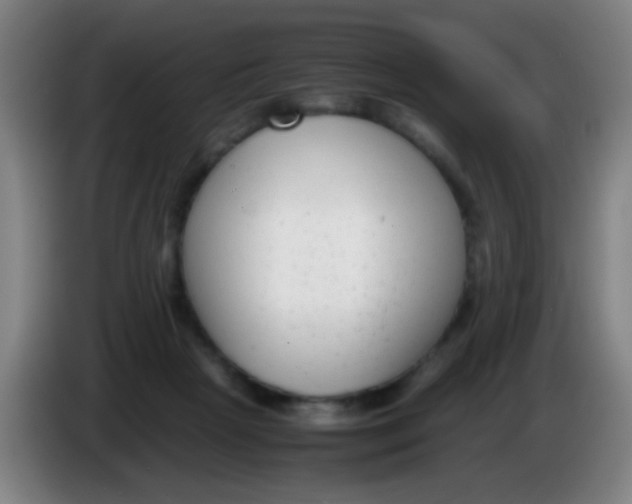 X0000085310265200703302029