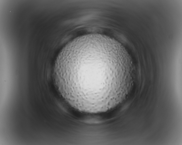 X0000085310266200703302029