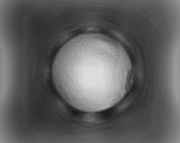 X0000085310269200703302029