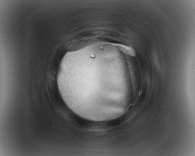 X0000085310271200703302029