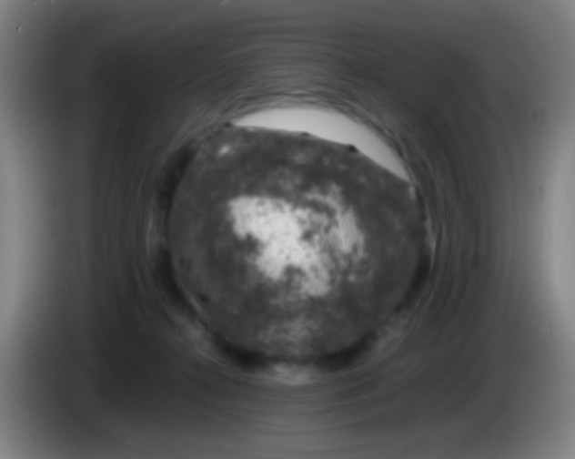 X0000085310272200703302029