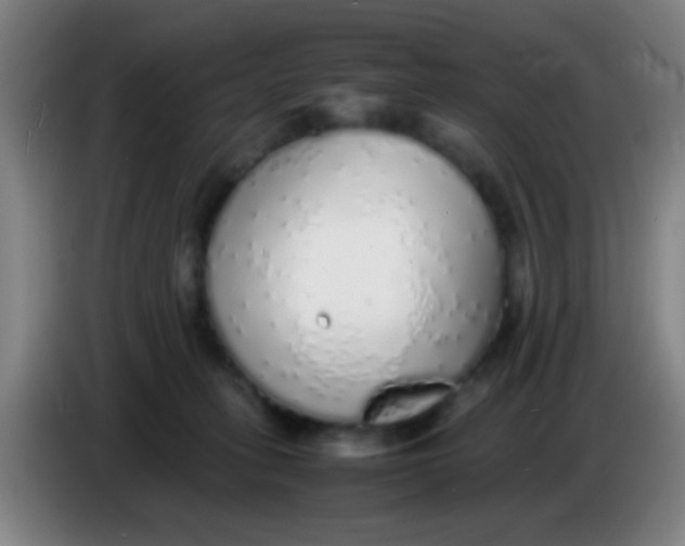 X0000085310275200703302029