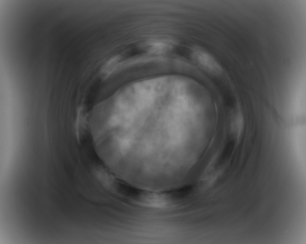 X0000085310276200703302029