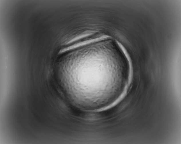 X0000085310277200703302029