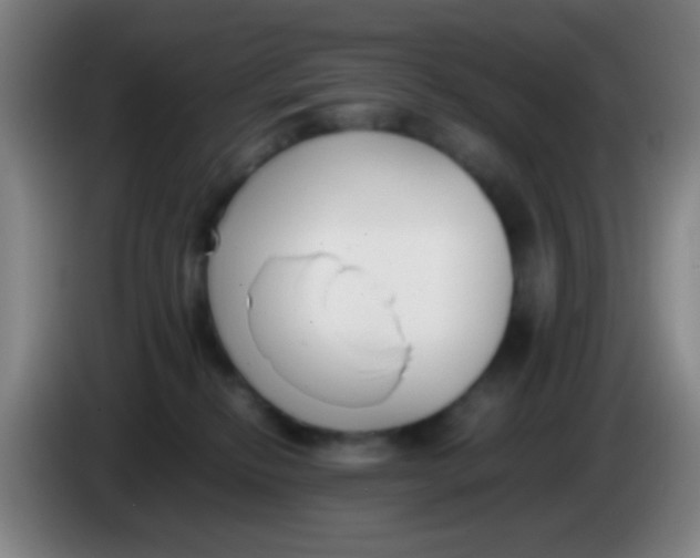 X0000085310278200703302029