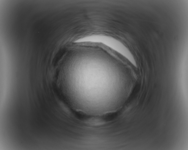 X0000085310280200703302029