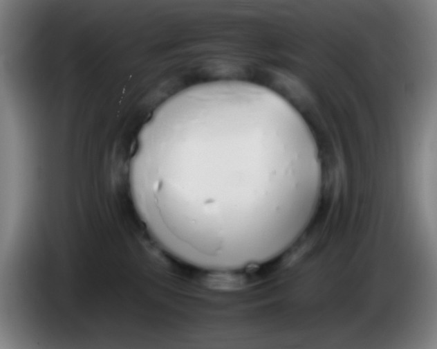 X0000085310281200703302029