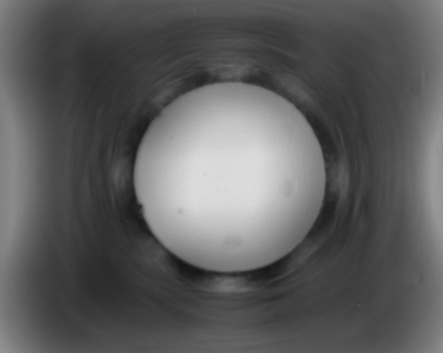 X0000085310283200703302029