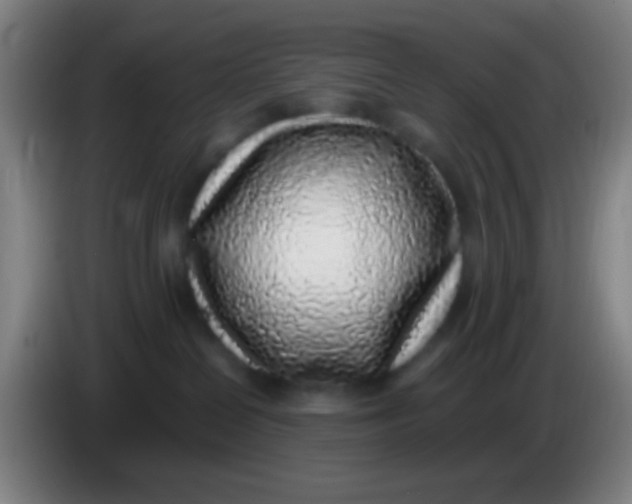 X0000085310286200703302029