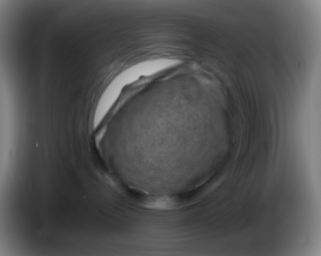 X0000085310288200703302029