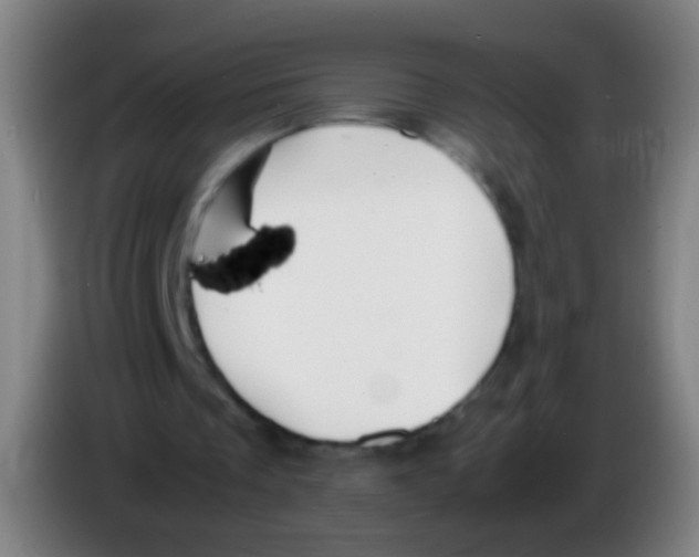 X0000085310289200703302028