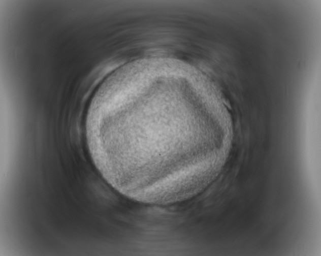 X0000085310290200703302028