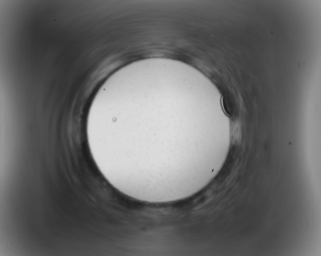 X0000085310291200703302028