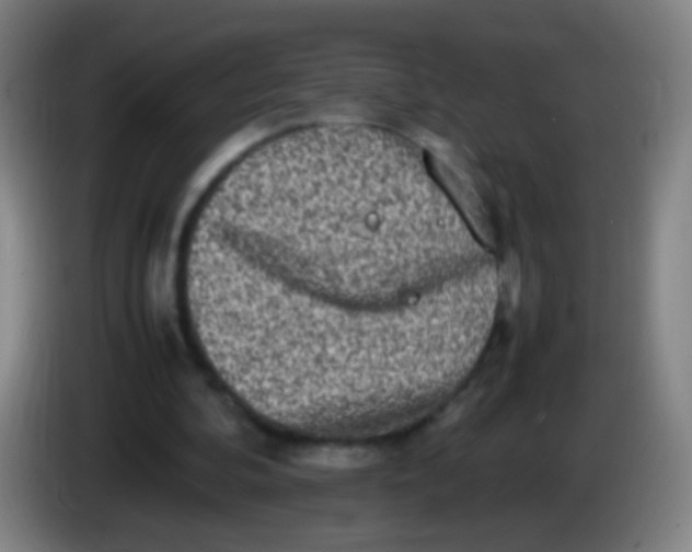 X0000085310292200703302028