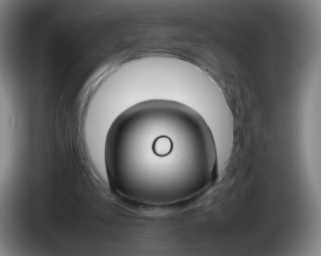 X0000085310293200703302028