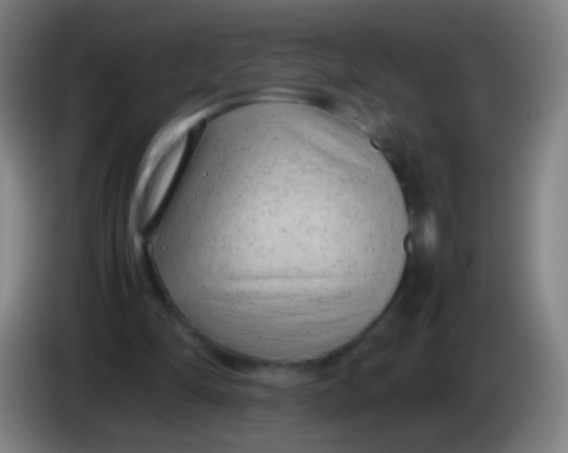 X0000085310294200703302028