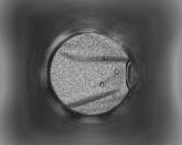 X0000085310296200703302028