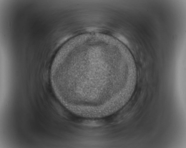 X0000085310297200703302028