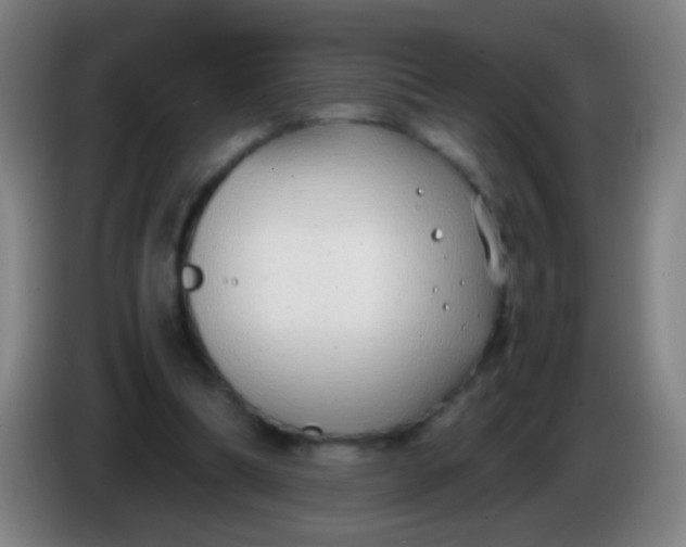 X0000085310298200703302028