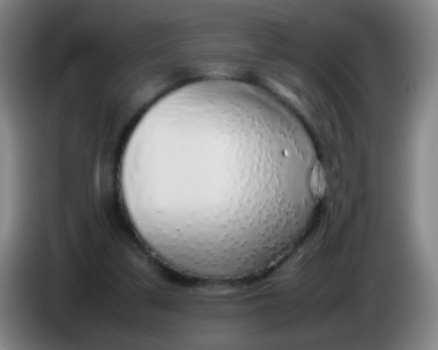 X0000085310299200703302028