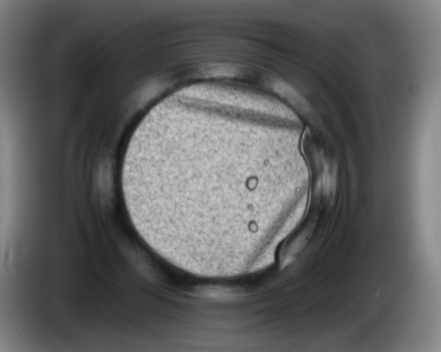 X0000085310300200703302028