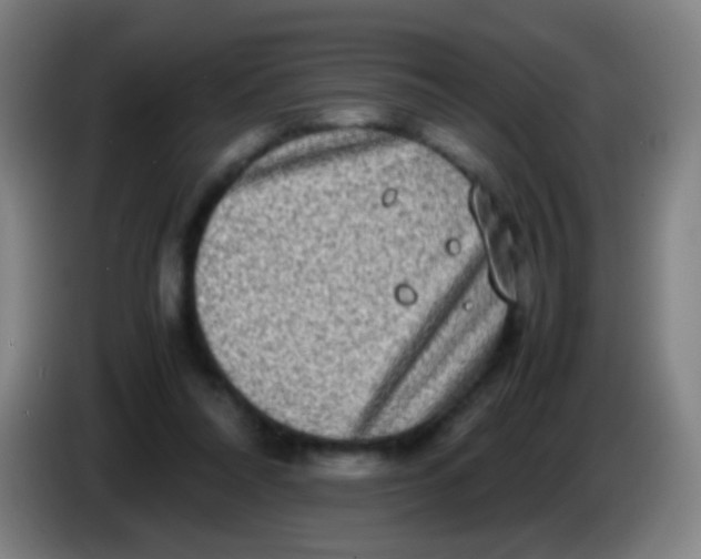 X0000085310304200703302028