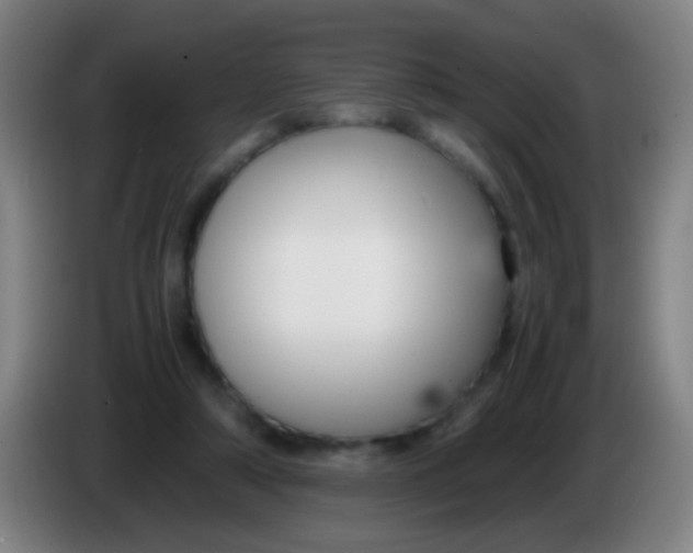 X0000085310306200703302028