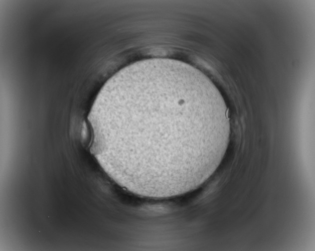 X0000085310307200703302028