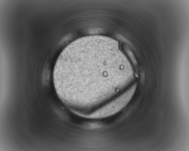 X0000085310308200703302028