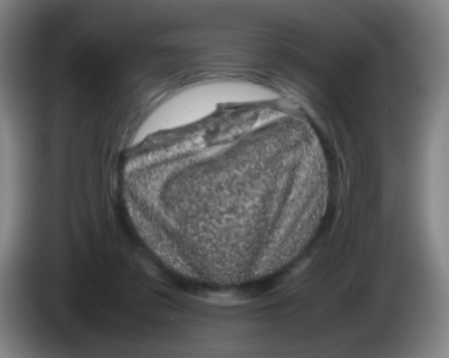 X0000085310309200703302028