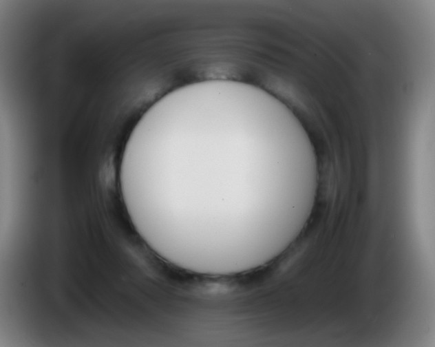 X0000085310310200703302028